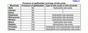 Types of bile acids