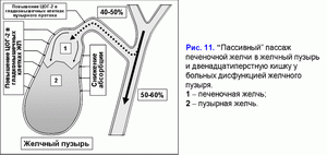 Пассивный пассаж печеночной желчи