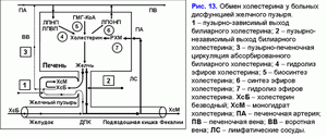 Обмен холестерина