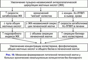 Формирование литогенной печеночной желчи, хронический некалькулезный холецестит без билиарного сладжа