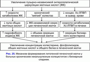 Формирование литогенной печеночной желчи, хронический некалькулезный холецестит, билиарный сладж