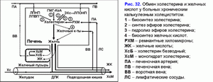 Обмен холестирина и желчных кислот, хронический калькулезный холецестит