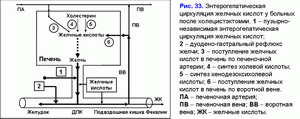 Постхолецистэктомический синдром, циркуляция кислот