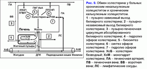 Обмен холестерина и желчных кислот, хронический некалькулезный холецестит, хронический калькулезный холецестит