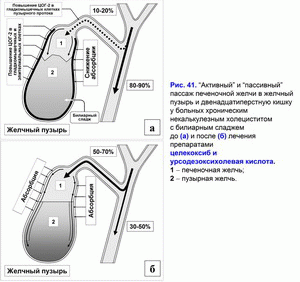 Пассаж печеночной желчи