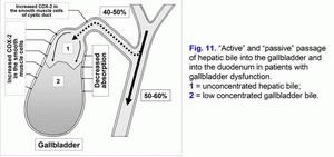 Active and passive passge of hepatic bile, gallbladder dysfunction