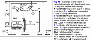 Cholesterol metabolism, chronic acalculous cholecystitis without biliary sludge