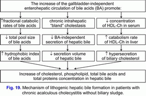 Lithogenic hepatic bile formation, chronic acalculous cholecystitis without biliary sludge