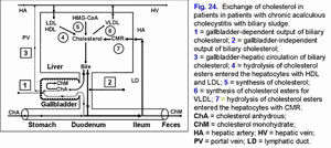 Cholesterol metabolism, chronic acalculous cholecystitis, biliary sludge