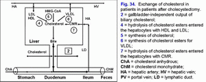 Мetabolism of cholesterol, cholecystectomy