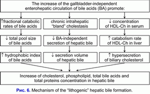 Lithogenic hepatic bile formation